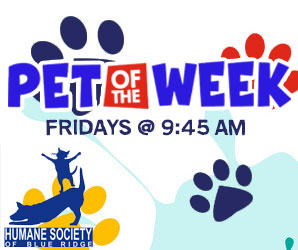 Pet of the Week, Friday, August 27, 2021 – DOZER